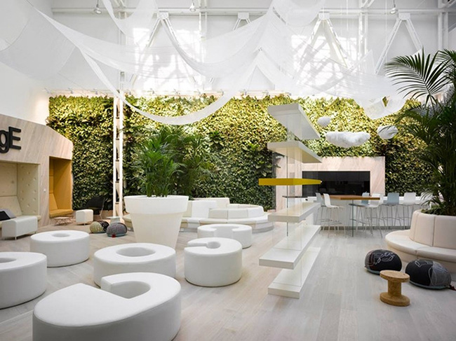 Design Biofílico,o que é e como influencia na nossa saúde e bem-estar?